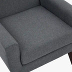 Modern Armchair Upholstered Accent Chair Set of 2