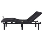 397lbs With 2-Point Massage, Dual Motors, Wireless Remote Control, Electric Lift Bed