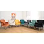 US Pride Furniture Stylish Velvet Armchair with Gold Metal Legs Comfortable Accent Chair