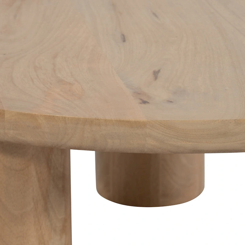 Sagebrook Home Mango Wood Elegant Pair of Boho Coffee Tables for Modern Homes