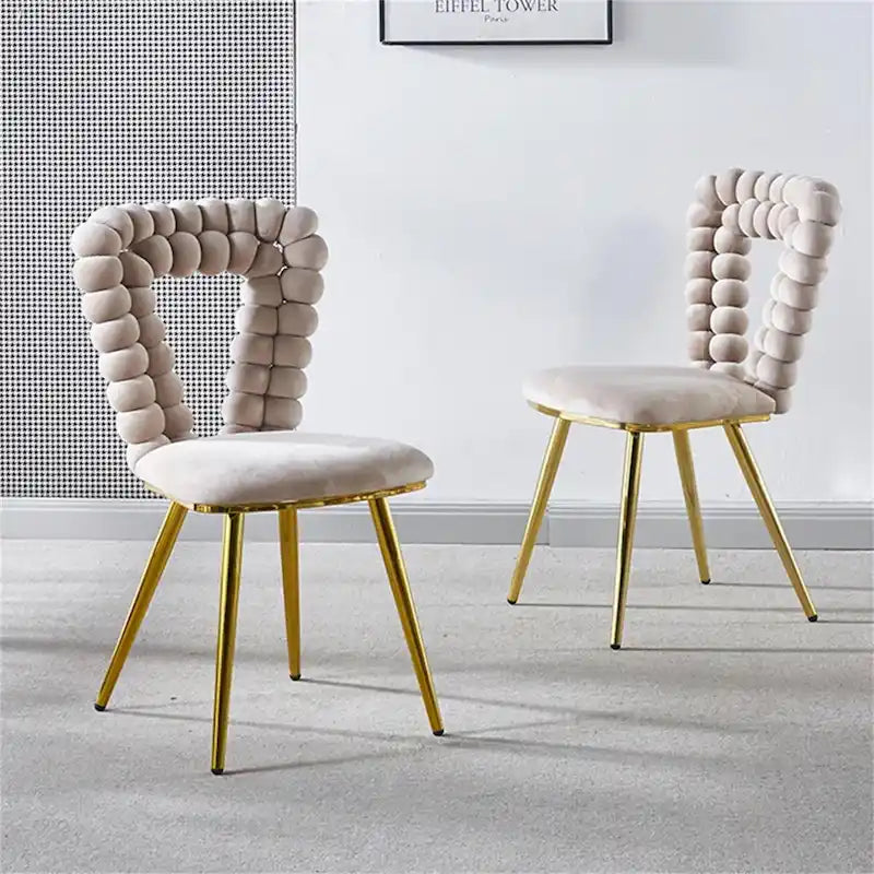 GEITIN Modern Dining Chair with Metal Legs Set of 2